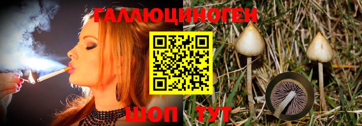 Псилоцибиновые грибы прущие грибы Тихвин