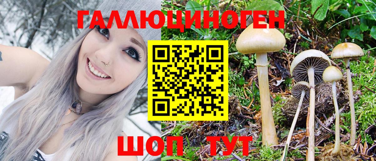 Тихвин  Псилоцибиновые грибы MAGIC MUSHROOMS  Вход с VPN 